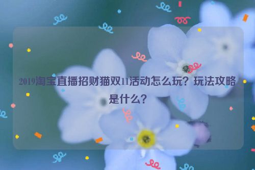 2019淘宝直播招财猫双11活动怎么玩？玩法攻略是什么？