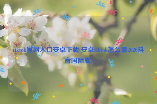tiktok官网入口安卓下载(安卓tiktok怎么看2020抖音国际版)