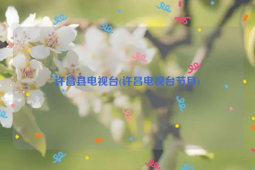 许昌县电视台(许昌电视台节目)