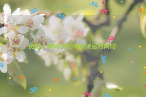 资阳人事网(资阳考试院官方网站)