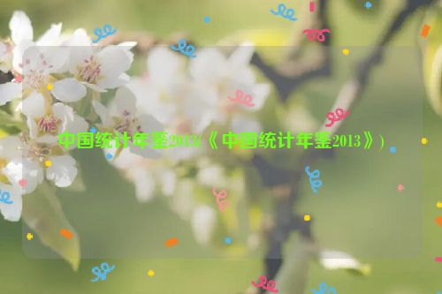 中国统计年鉴2013(《中国统计年鉴2013》)