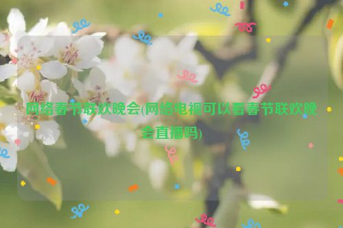 网络春节联欢晚会(网络电视可以看春节联欢晚会直播吗)