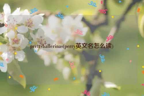 prettyballerinas(perry英文名怎么读)