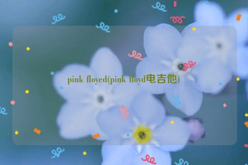 pink floyed(pink floyd电吉他)