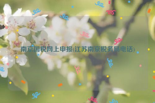 南京国税网上申报(江苏南京税务局电话)