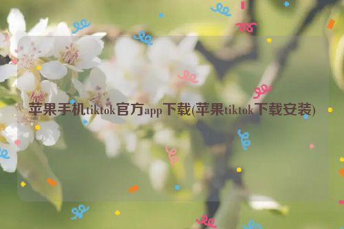苹果手机tiktok官方app下载(苹果tiktok下载安装)
