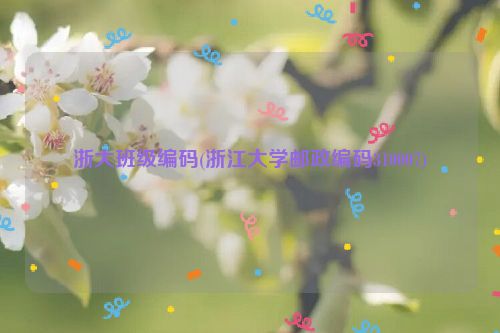 浙大班级编码(浙江大学邮政编码310007)
