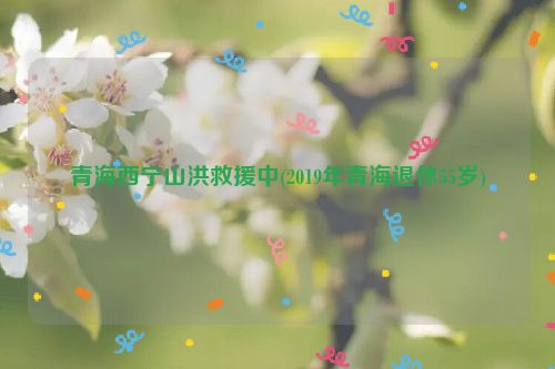 青海西宁山洪救援中(2019年青海退休55岁)