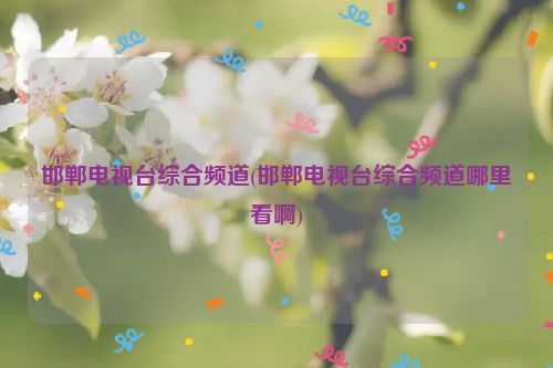 邯郸电视台综合频道(邯郸电视台综合频道哪里看啊)