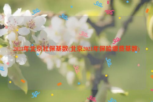 2023年北京社保基数(北京2021年保险缴费基数)
