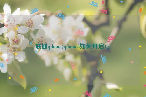 联通iphone(iphone5如何开启4g)