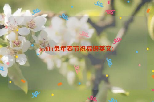 joyfill(兔年春节祝福语英文)